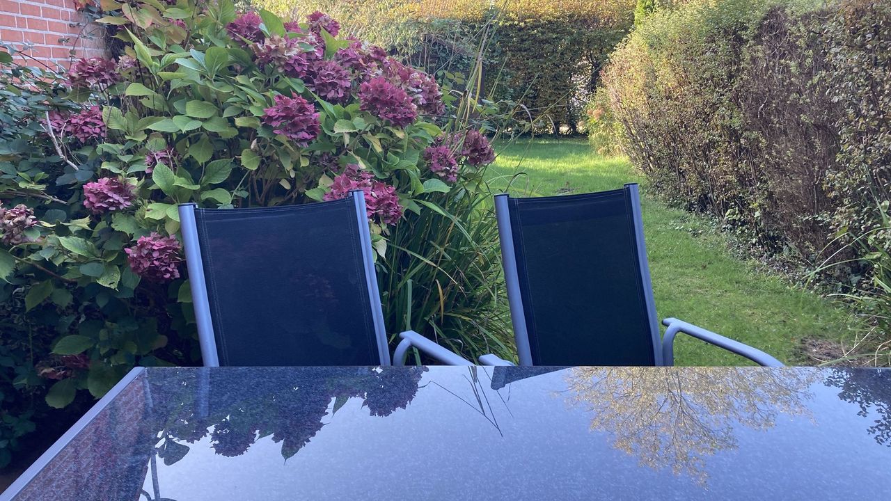 Gartenblick Gartenblick